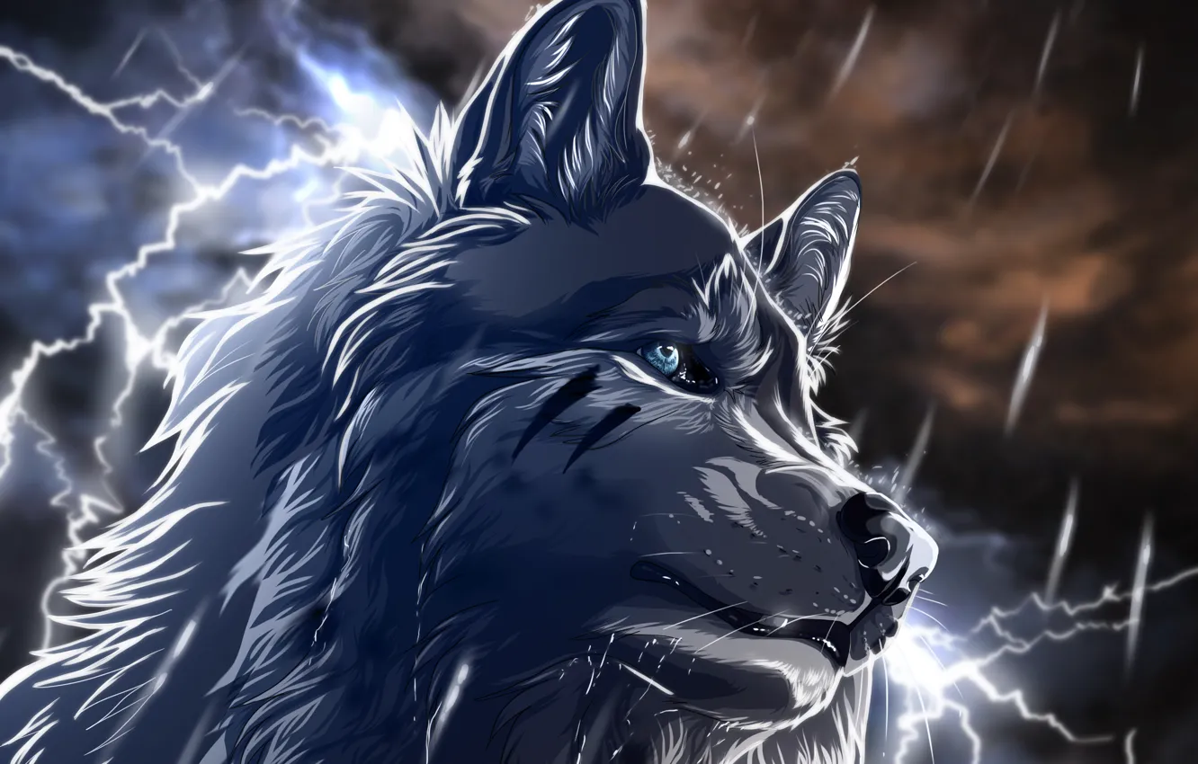 Фото обои ночь, дождь, молнии, Волк, art, wolfroad