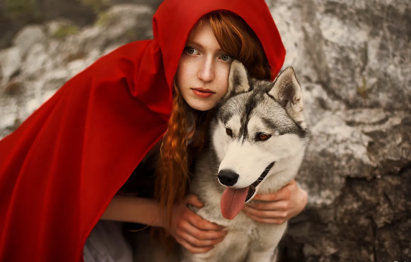 Фото обои волк, плащ, wolf, redhead, cosplay, Red Riding Hood, Косплей, кра...