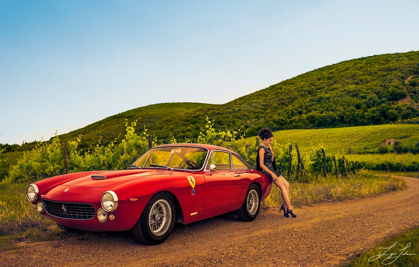 Фото обои дорога, девушка, виноградники, Ferrari 250