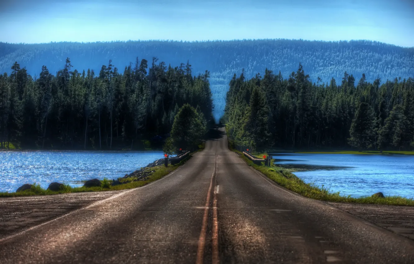 Фото обои дорога, озеро, Лес, переправа, блюр
