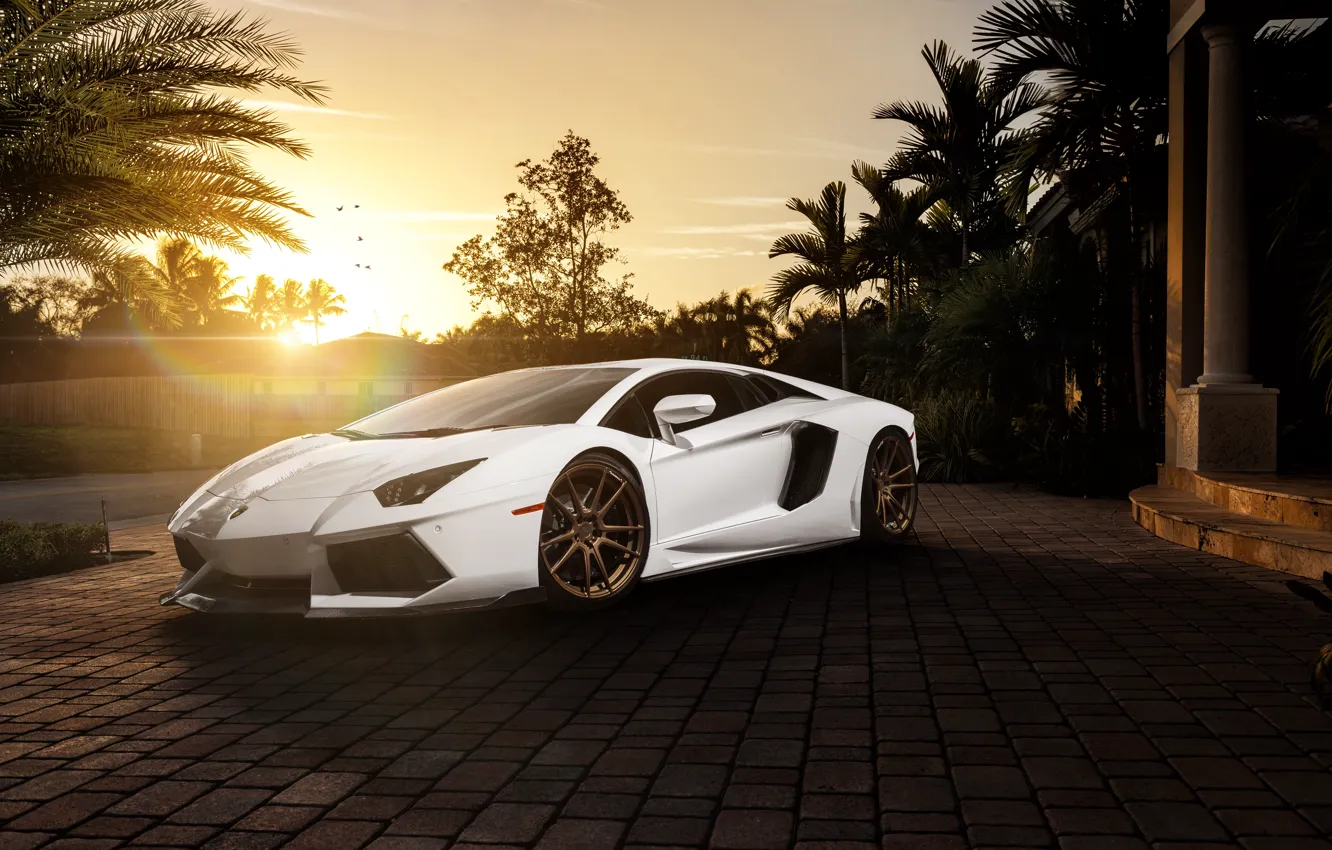 Фото обои белый, солнце, пальмы, Lamborghini, перед, white, блик, особняк, ламборджини, front, LP700-4, Aventador, ламборгини, авентадор