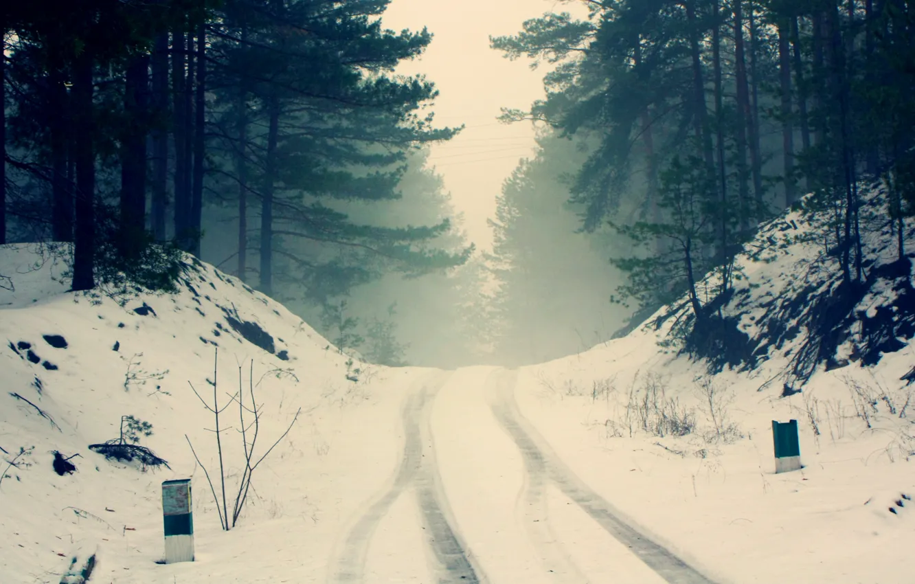 Фото обои зима, дорога, лес, снег, деревья, ветки, природа, туман, тишина, мороз, дымка, сосны, силуэты, холодно, следы …