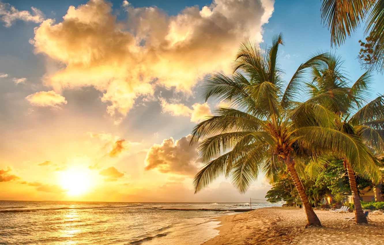 Фото обои песок, море, пляж, закат, тропики, пальмы, берег, beach, sea, ocean, sunset, paradise, palms, tropical