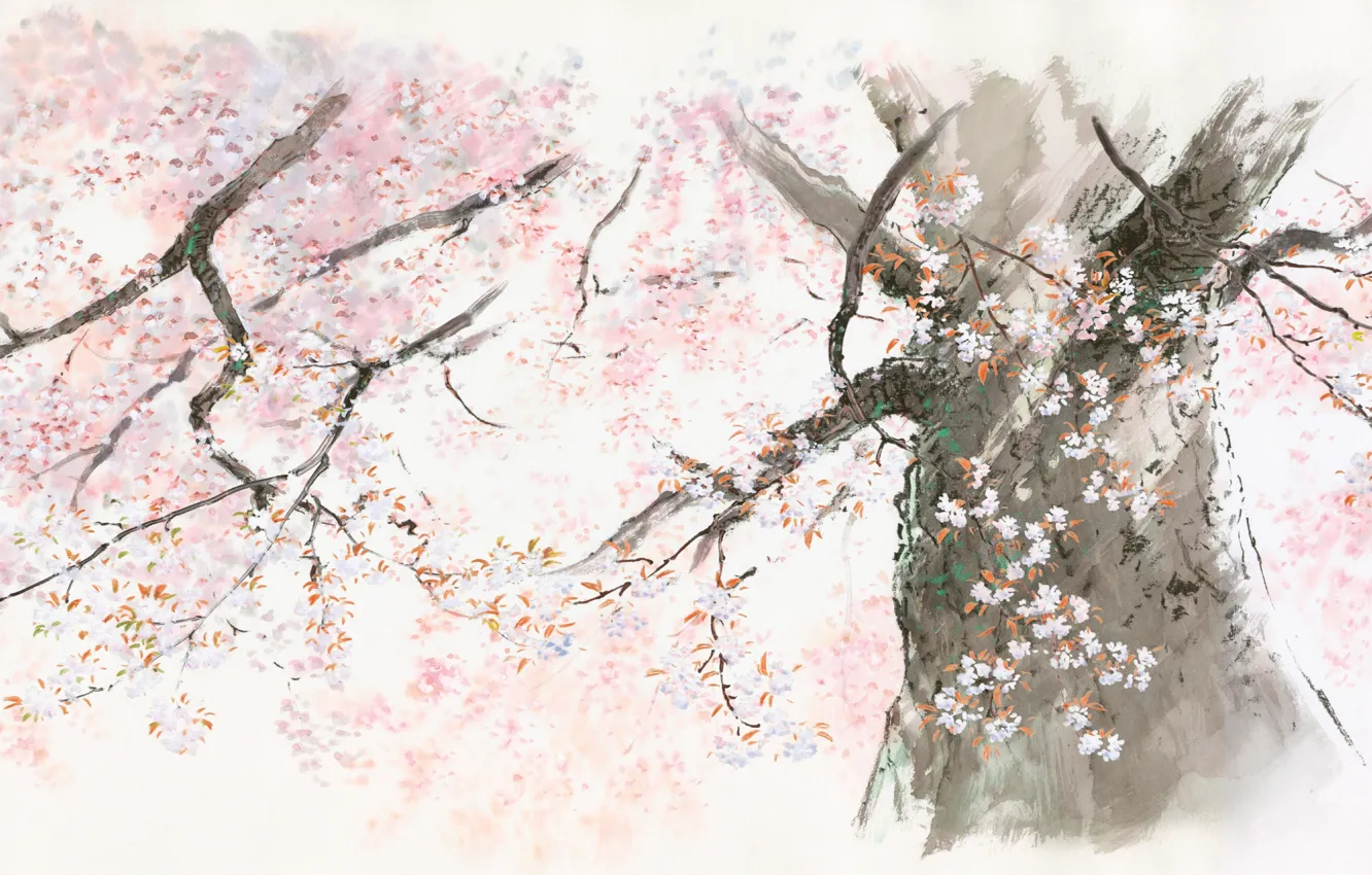 Фото обои дерево, Ghibli, сказание о принцессе кагуя, Исао Такахата, kaguya hime no monogatari