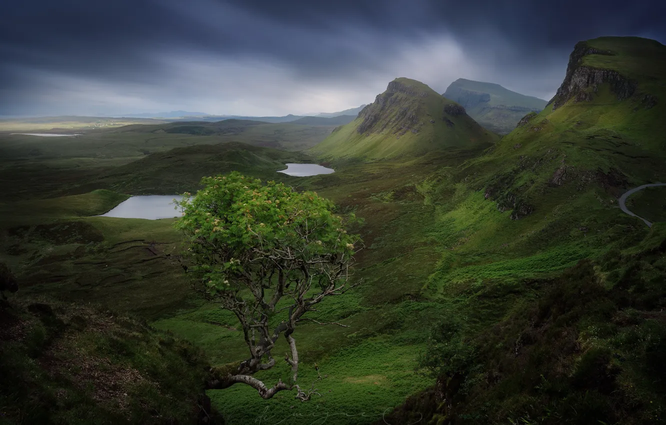 Фото обои камни, дерево, скалы, остров, гора, Шотландия, Скай