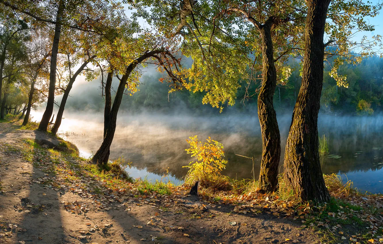 Фото обои осень, листья, деревья, река, утро, Украина, Донбасс, Северский Донец, Святогорск