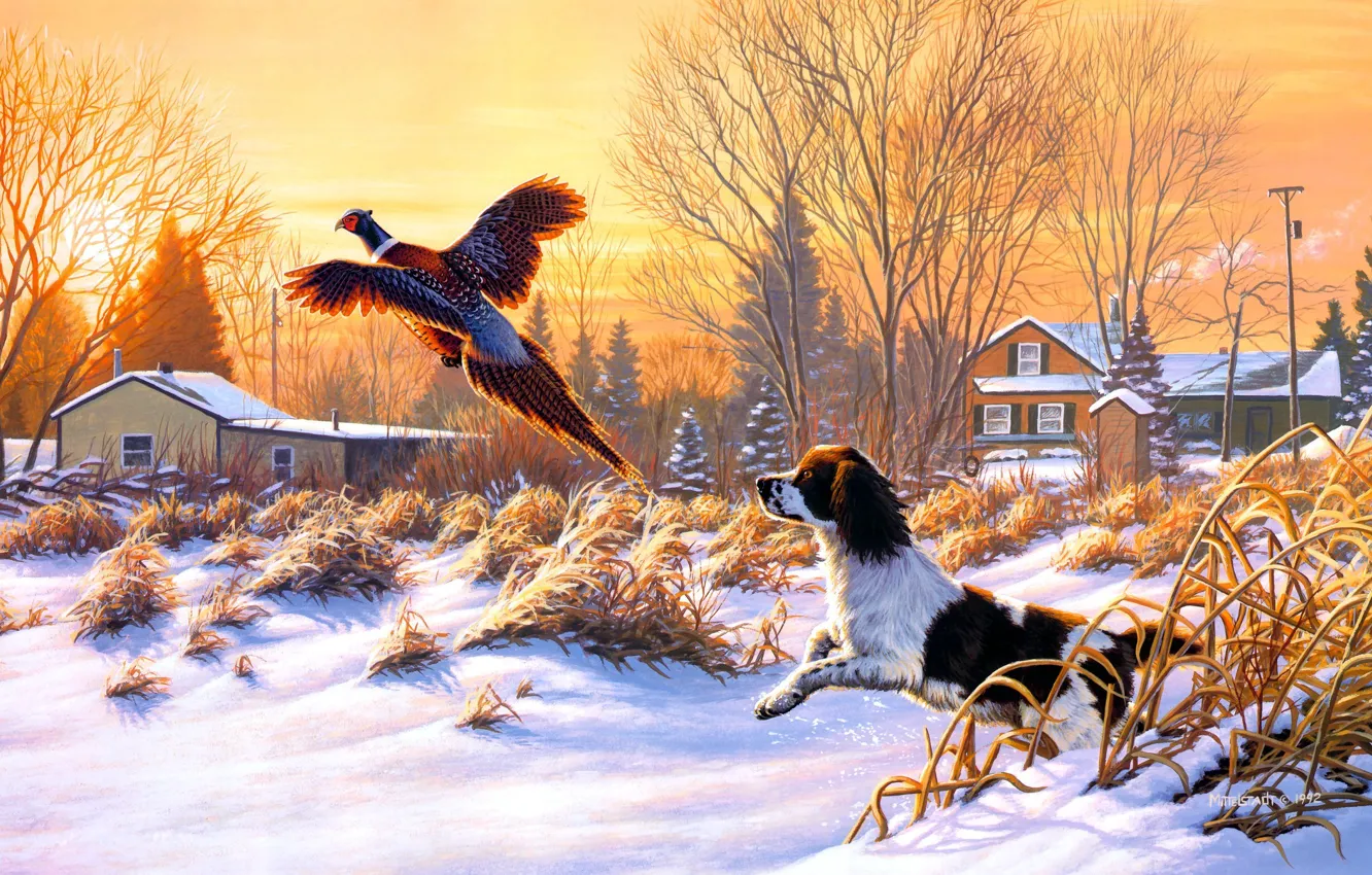 Фото обои зима, снег, природа, восход, птица, собака, живопись, искусство, летать, Frank Mittelstadt, Getting Up, охотничья