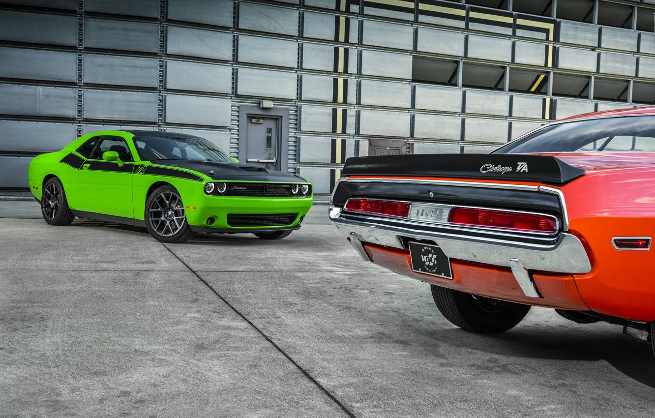 Фото обои car, green, Dodge, Challenger, wallpapers, T/A