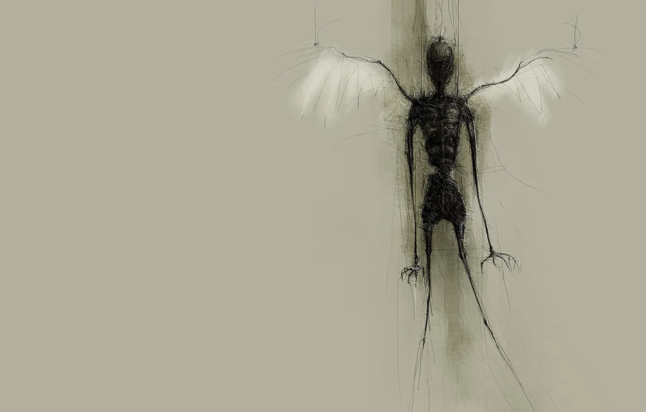 Фото обои рисунок, крылья, штрихи, скелет