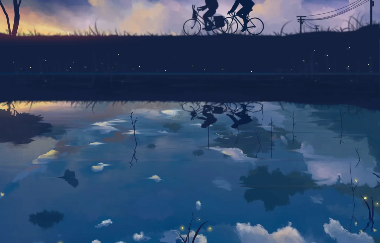 Фото обои небо, девушка, звезды, облака, велосипед, отражение, светлячки, провода, аниме, арт, парень, dias mardianto, donsaid