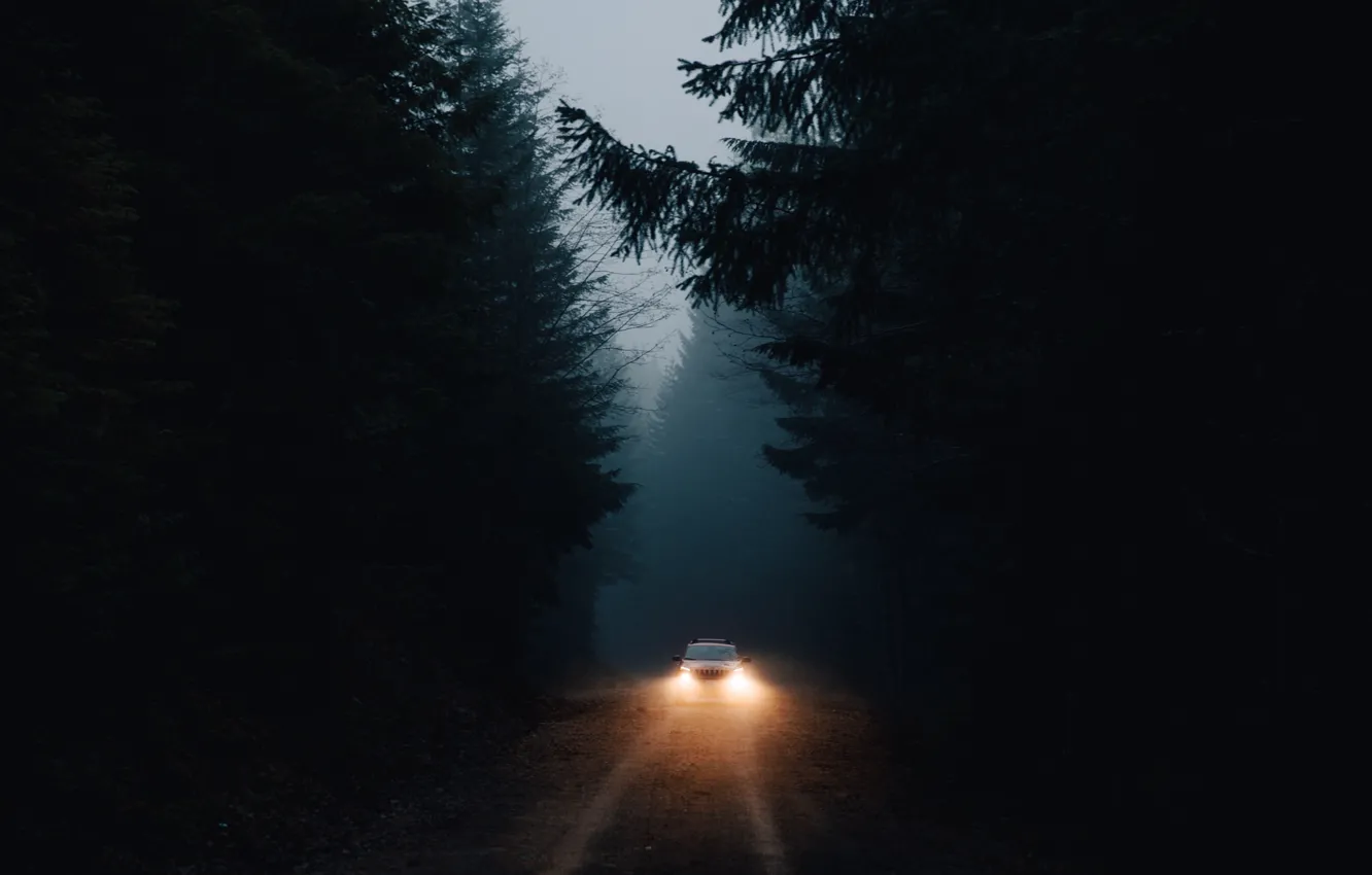 Фото обои машина, лес, свет, темнота, фары