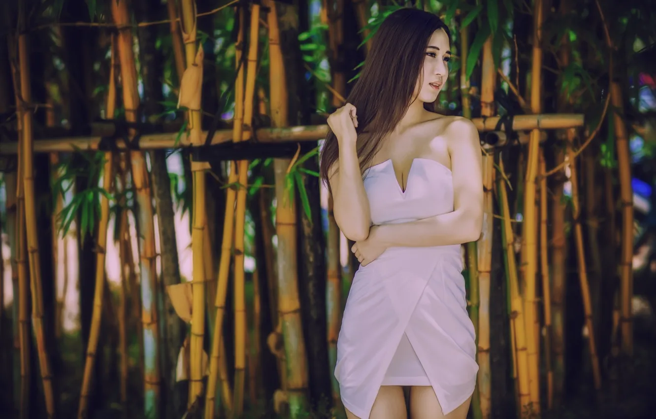 Фото обои модель, бамбук, платье, азиатка