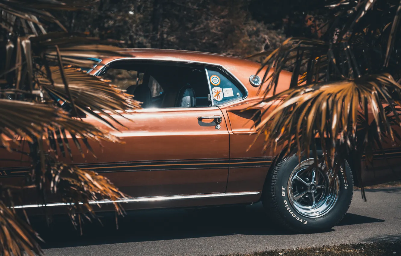 Фото обои 1969, Ford Mustang, мускул кар