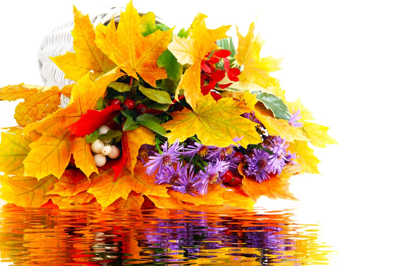 Фото обои осень, листья, вода, цветы, отражение, букет