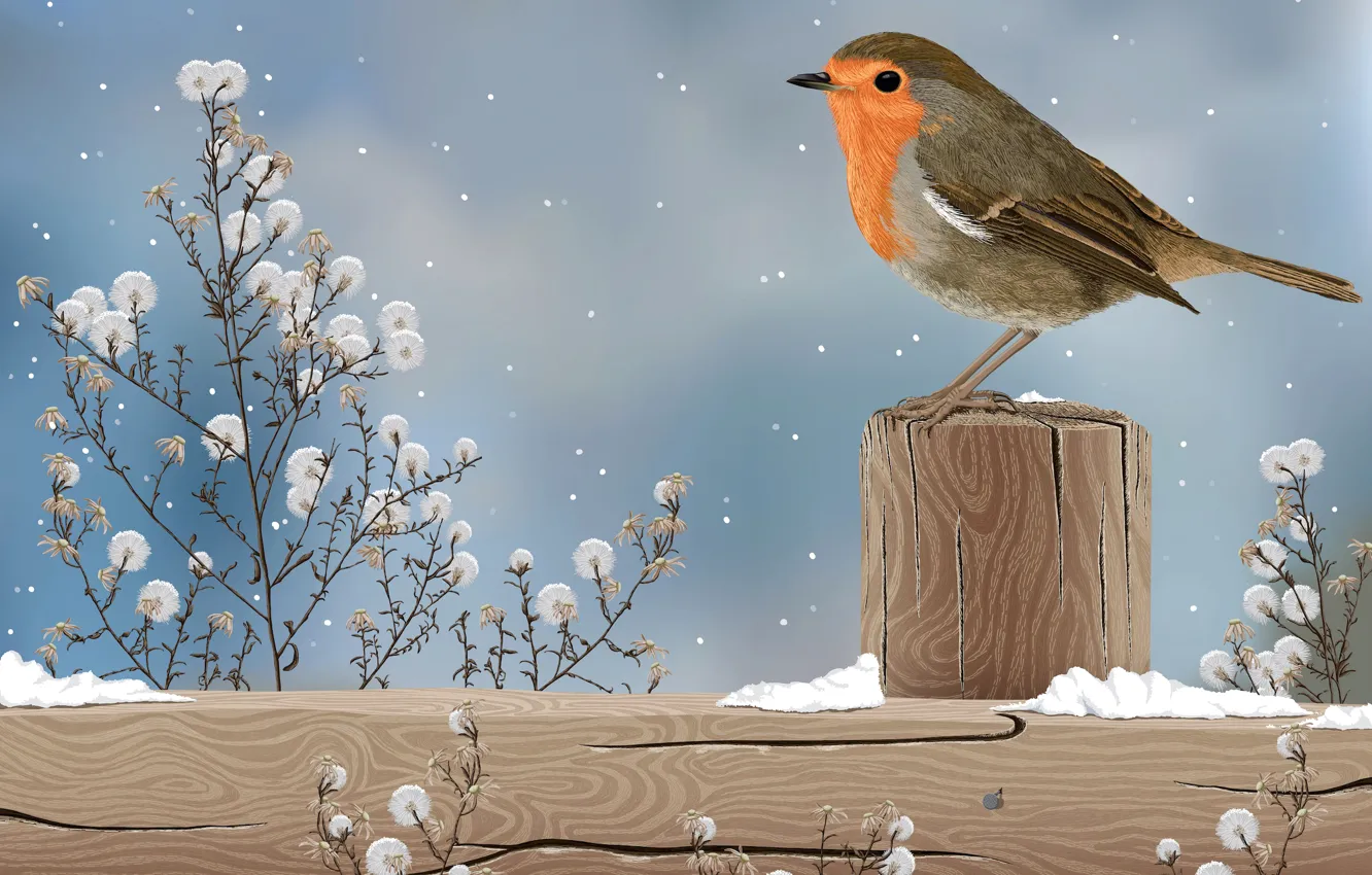 Фото обои снег, природа, птица, рисунок, растение, столбик
