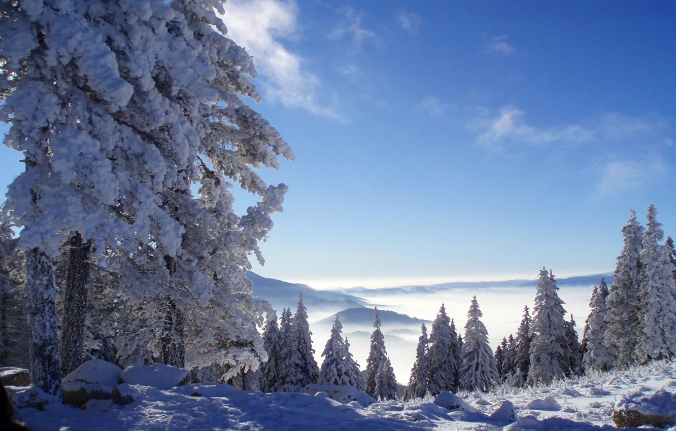Фото обои зима, лес, снег, горы, Природа