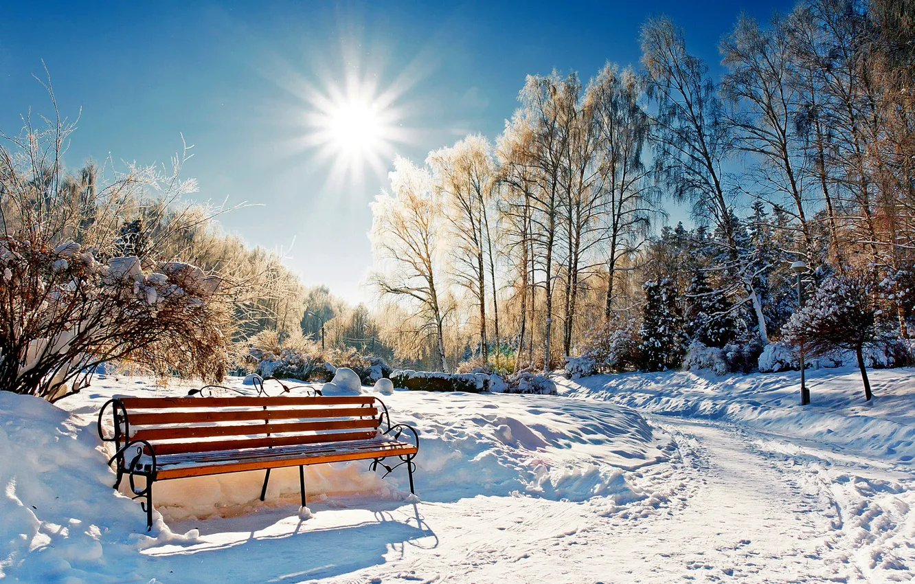 Фото обои зима, лес, небо, солнце, снег, пейзаж, скамейка, природа, парк, white, forest, sky, landscape, nature, sunset, …