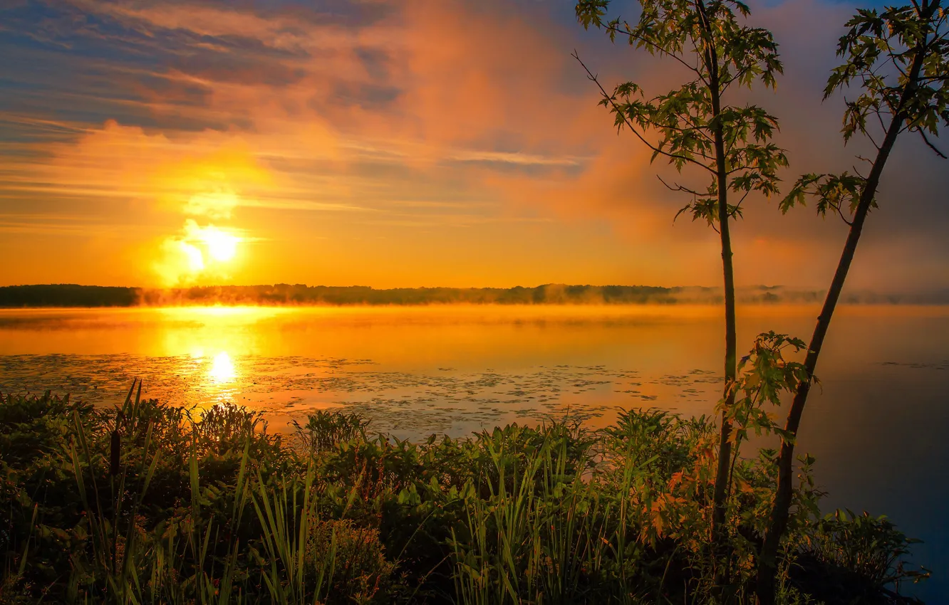 Фото обои лето, солнце, туман, озеро, восход, утро