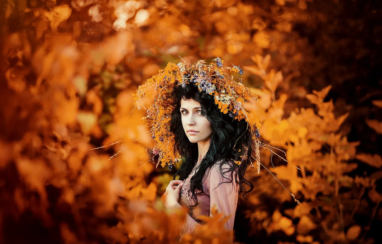 Фото обои осень, золото, венок, кареглазая девушка, осенний портрет