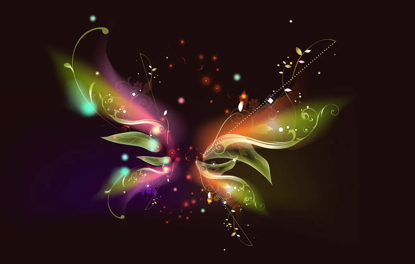 Фото обои линии, цветы, узор, бабочка, звёздочки