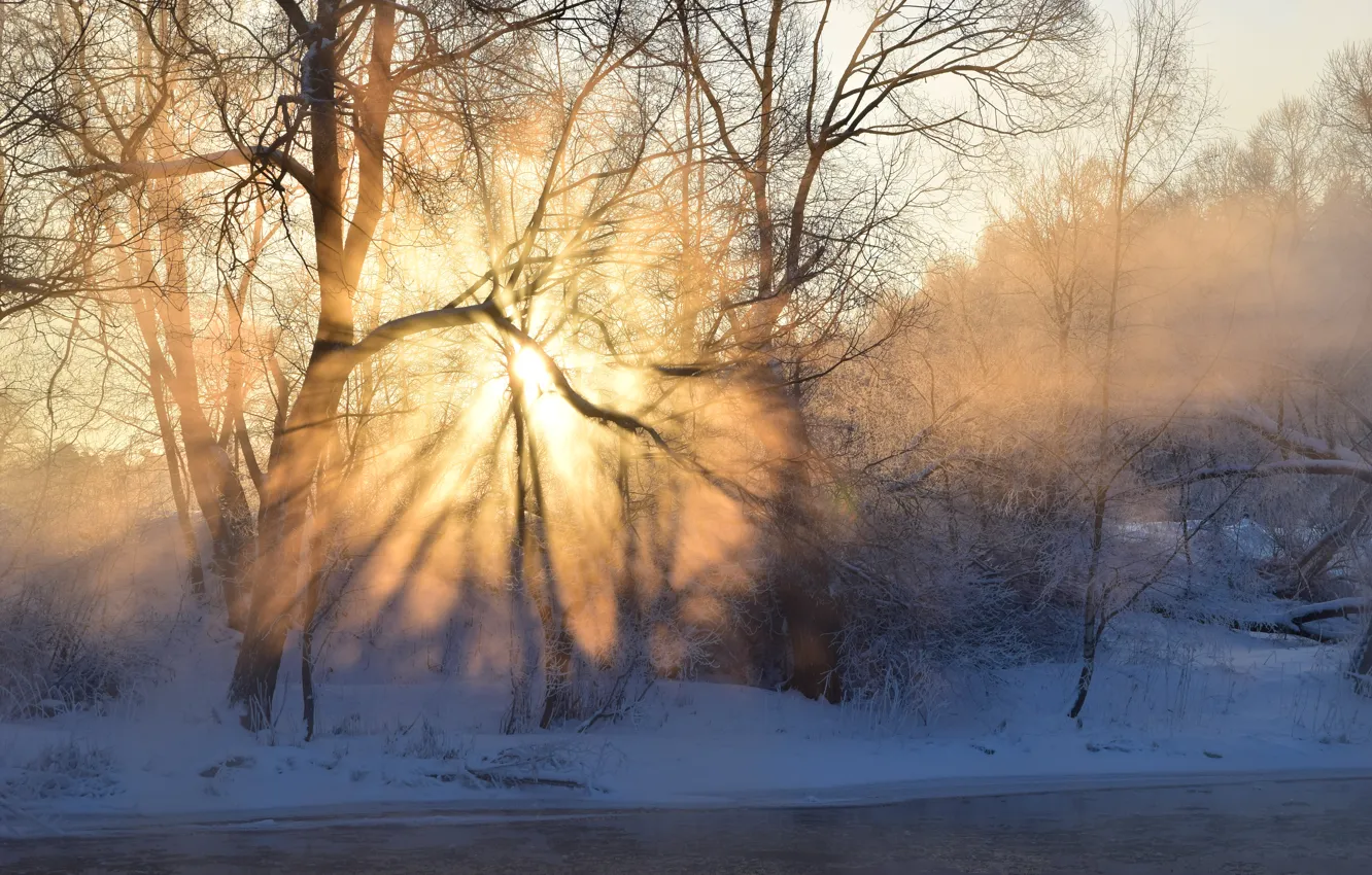 Фото обои иней, лес, небо, солнце, лучи, свет, снег, деревья, туман, река, восход, Зима, тень, утро, мороз