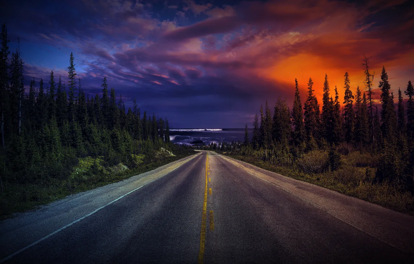 Фото обои дорога, лес, небо, облака, деревья, закат, природа