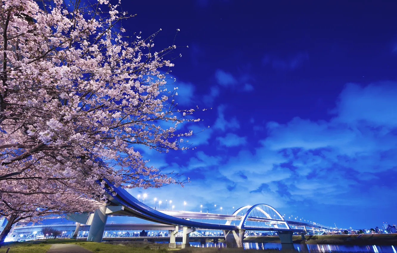 Фото обои мост, река, дерево, япония, фонари