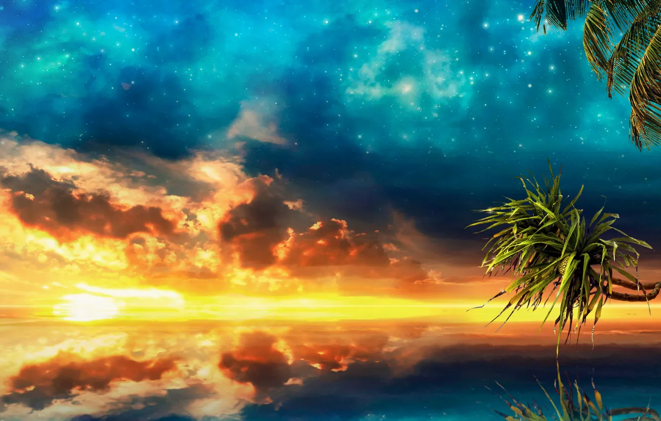 Фото обои море, небо, закат, пальмы, sea, sunset, palm