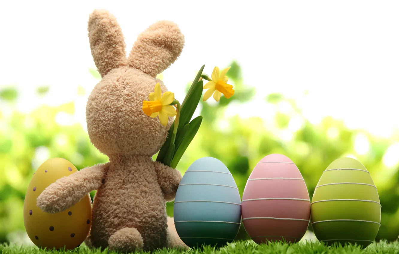 Фото обои трава, цветы, природа, праздник, игрушка, заяц, яйца, весна, Пасха, нарциссы, Easter