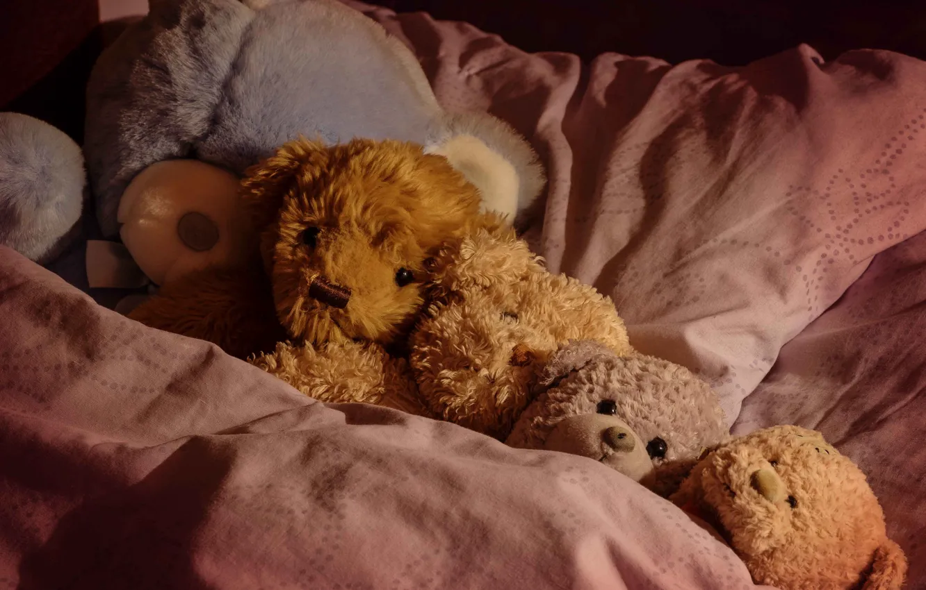 Фото обои игрушки, сон, ситуация, медведи, постель, плюшевые мишки