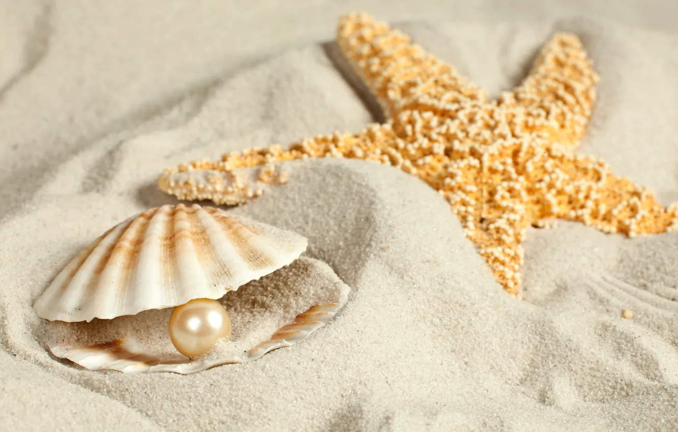 Фото обои песок, ракушка, морская звезда, жемчужина