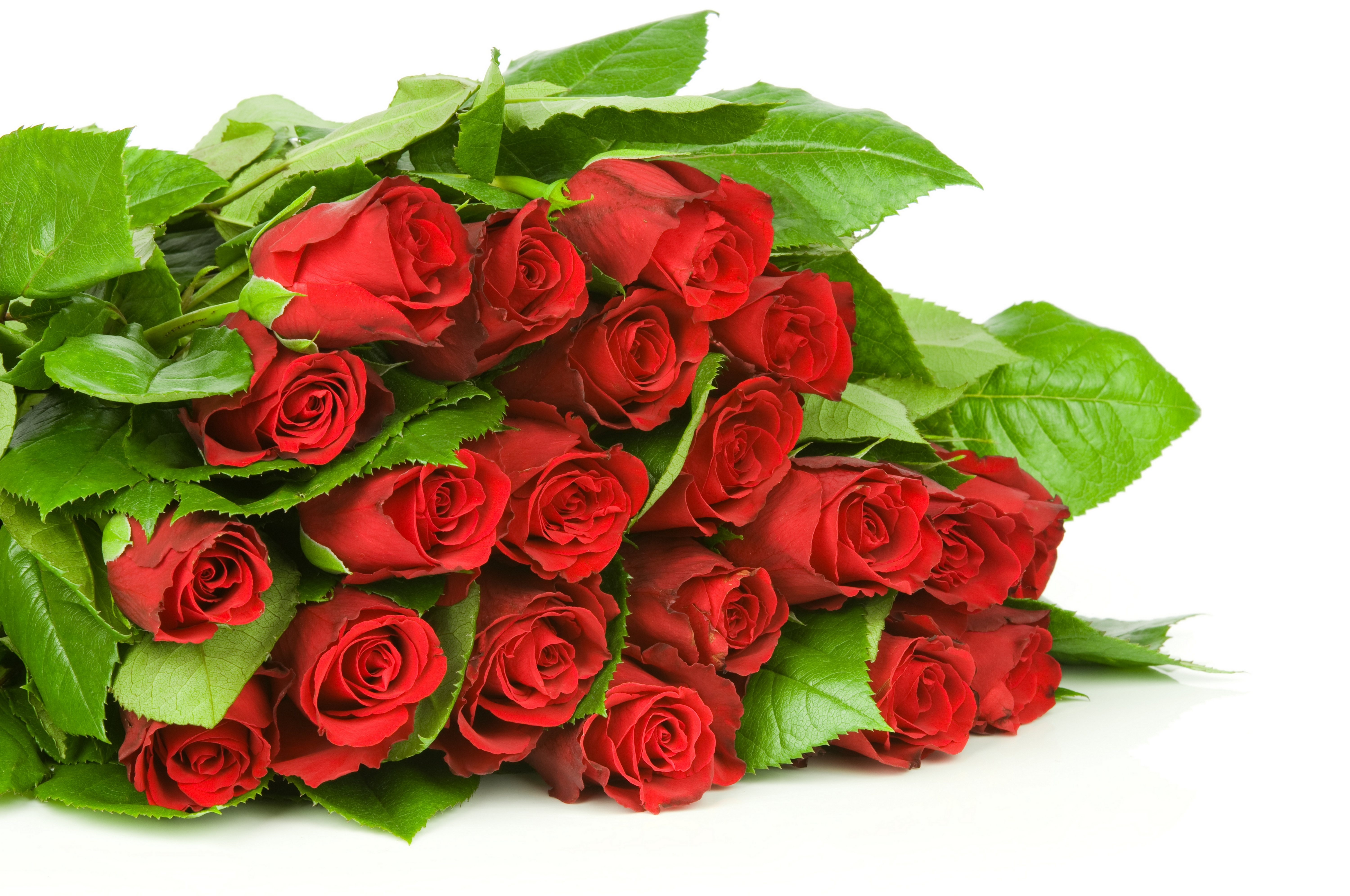Букет цветов розы красные